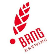 Bang logo a hop cone on top of a dot making a bang symbol